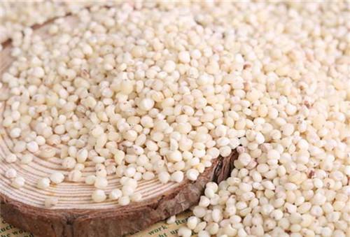 高粱米的功效与作用高粱米怎么吃