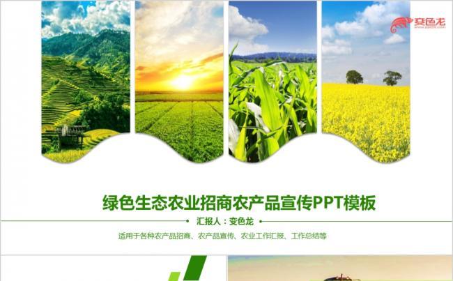 大气简洁绿色农业农产品招商农产品宣传通用ppt模板