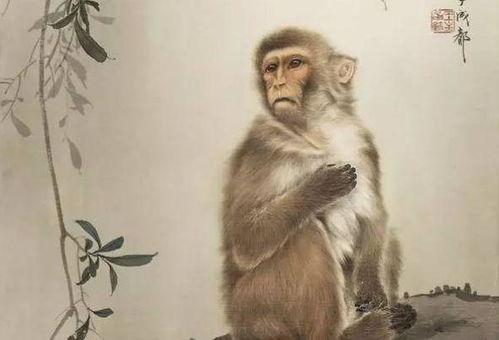 1968年属猴人是什么命缺什么 属猴的几月出生最好