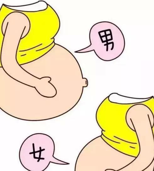 生男生女不一样, 用这十种民间鉴别方法, 胎儿性别早知道|胎盘|男孩