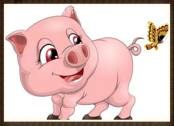 猪年是哪一年属猪的是哪一年出生八字(哪年属猪)