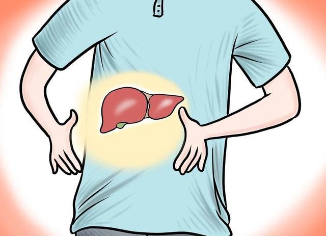 对于一些存在脂肪肝的人群来说是不建议服用护肝片的,因为一般情况下