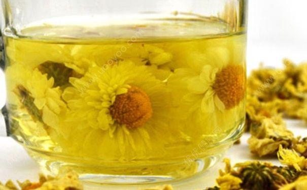 虽然喝菊花茶能有些降火的功效,但是不宜长期饮用,否则菊花寒性会影响