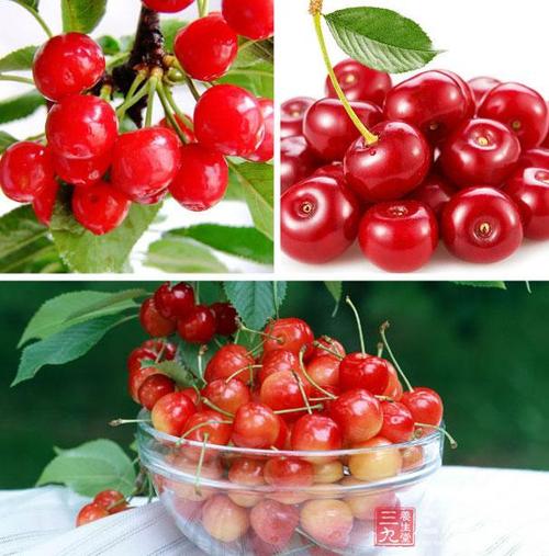 红樱桃的功效与作用(吃樱桃的好处) | 锁阳号_分享各种的功效与作用及