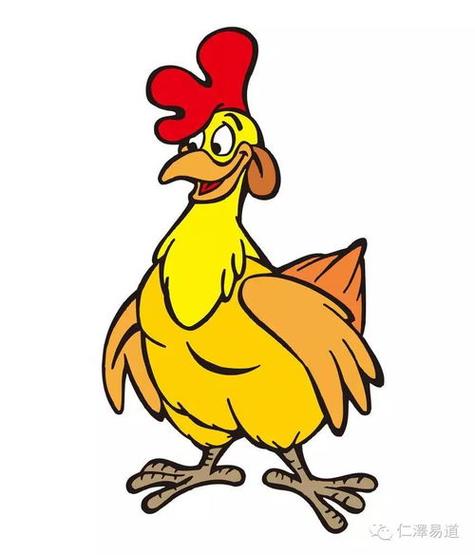 属鸡的配生肖晚年最享福的六大生肖属鸡是什么意思(属鸡生肖)