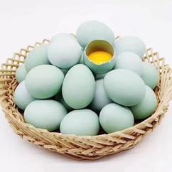 乌鸡蛋的功效与作用及禁忌乌鸡蛋的功效与作用及营养价值