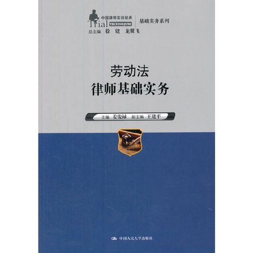 劳动法律师基础实务(中国律师实训经典·基础实务系列)