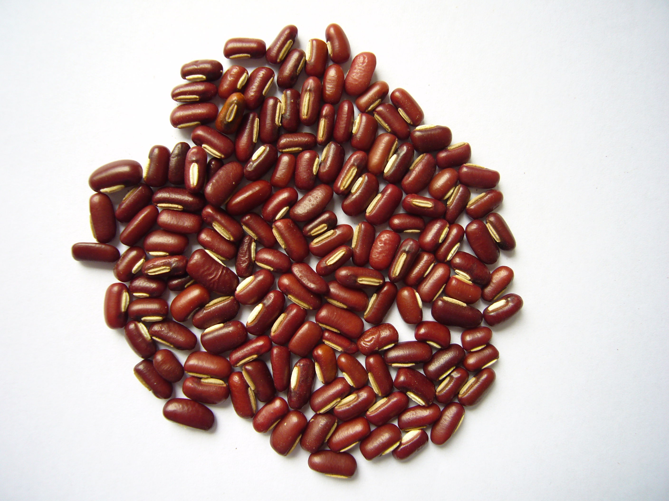 红豆和赤小豆的营养成分区别与分析 - 哔哩哔哩
