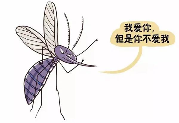 梦见蚊子做梦梦见蚊子是什么预兆梦见蚊子好不好