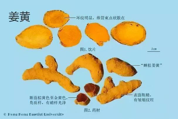 片姜黄的功效与作用,葛根的功效与作用(每天学习一味中药——姜黄)
