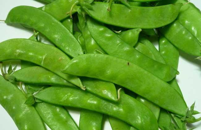 豌豆的功效与作用及食用方法 - 营养价值 - 黔农网