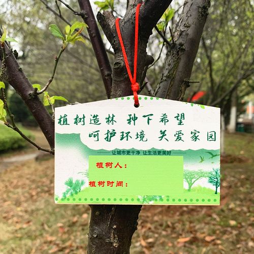 植树节树牌树木铭牌爱护花草植物编号牌信息挂在树上的牌子2023款