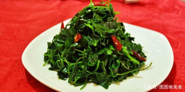 灰灰菜一种鲜美的野菜,可去除口腔异味,营养丰富做法多!