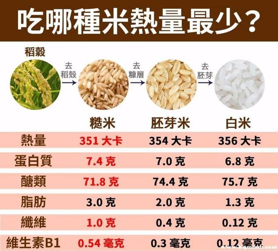 长期吃三色糙米可以减肥吗吃糙米我怎么感觉变胖了